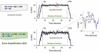 Variations in Static Force Control and Motor Unit Behavior with Error Amplification Feedback in the Elderly
